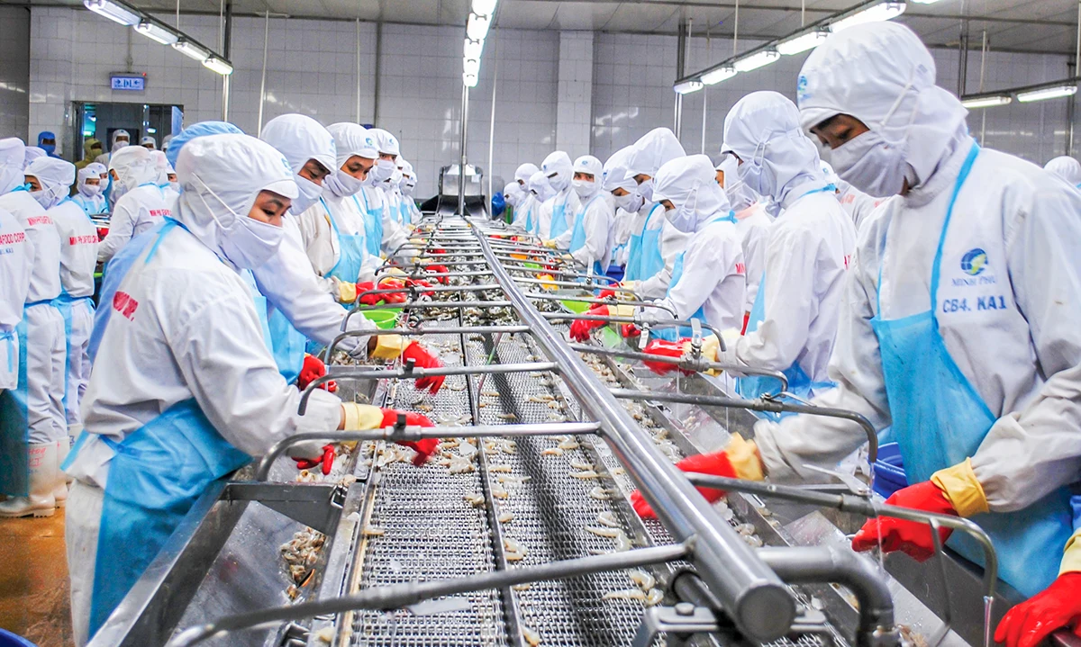 Cà Mau phát triển ngành thủy sản chủ lực