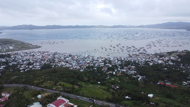 Khu vực nuôi tôm của ngư dân phường Xuân Đài và phường Sông Cầu. Ảnh: Vũ Long.