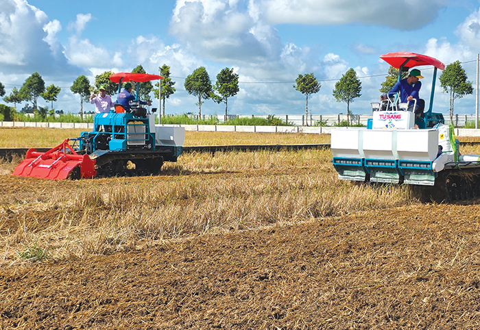 Nâng cao sức khỏe đất trồng lúa để sản xuất bền vững