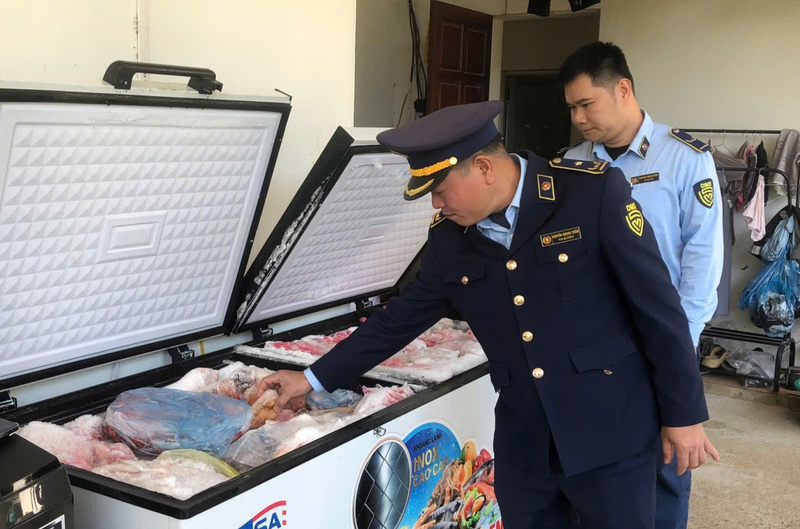 Đội Quản lý thị trường số 8 kiểm tra cơ sở kinh doanh thực phẩm tươi sống tại thôn 8, xã Bắc Quang, phát hiện 380 kg thịt lợn cất trữ trong tủ đông, trị giá 34,2 triệu đồng, nhưng không có hóa đơn chứng từ chứng minh nguồn gốc. Ảnh: Quản lý thị trường Tuyên Quang