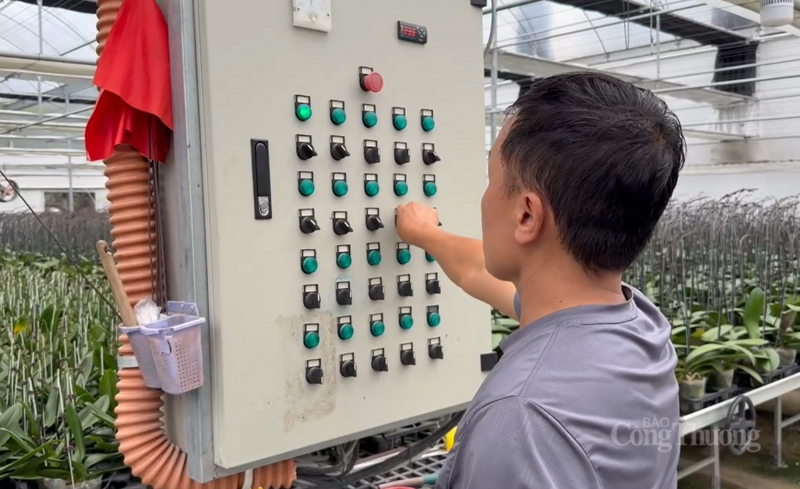 Đến nay, mô hình được hỗ trợ chi phí chuyển giao công nghệ, hỗ trợ 1 phần giống và đào tạo, tập huấn kỹ thuật chăm sóc. Dự án cũng đã chuyển giao các quy trình công nghệ sản xuất hoa lan hồ điệp cho hàng trăm người dân trên địa bàn.