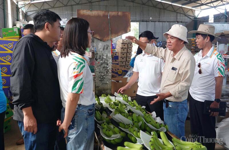 Hoàng Anh Gia Lai là một trong những doanh nghiệp sớm đầu tư phát triển các vùng cây trồng tập trung tại khu vực Tây Nguyên.