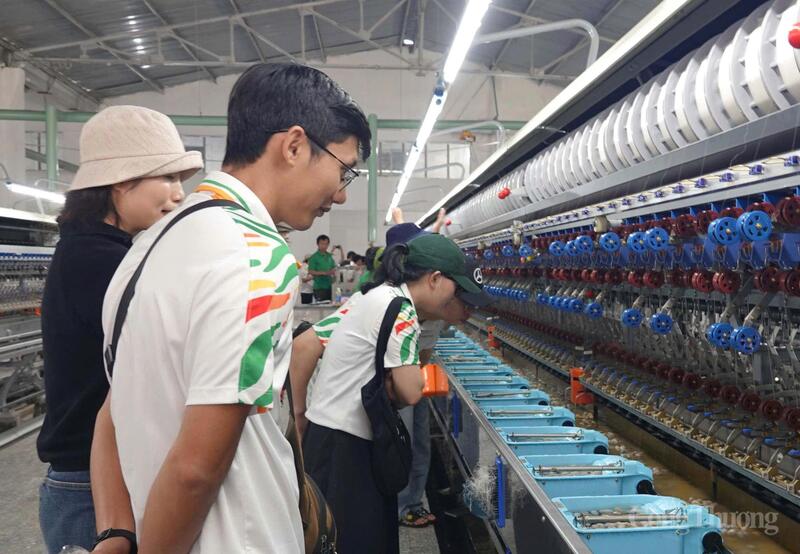 Toàn tỉnh có 40 cơ sở đóng gói với công suất khoảng 1.800 tấn/ngày.