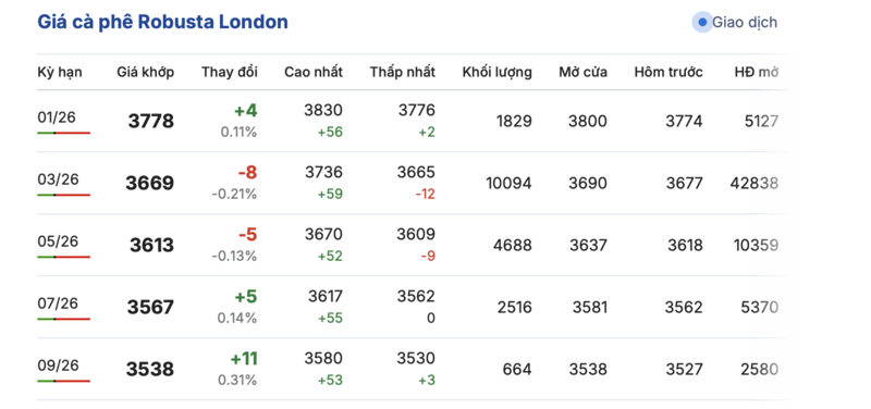 Giá cà phê hôm nay 20/12/2025: Tiếp tục giảm nhẹ - 1