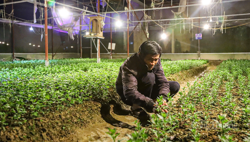 Còn ông Hồ Sỹ Lưu (thôn Xuân Sơn) chia sẻ: