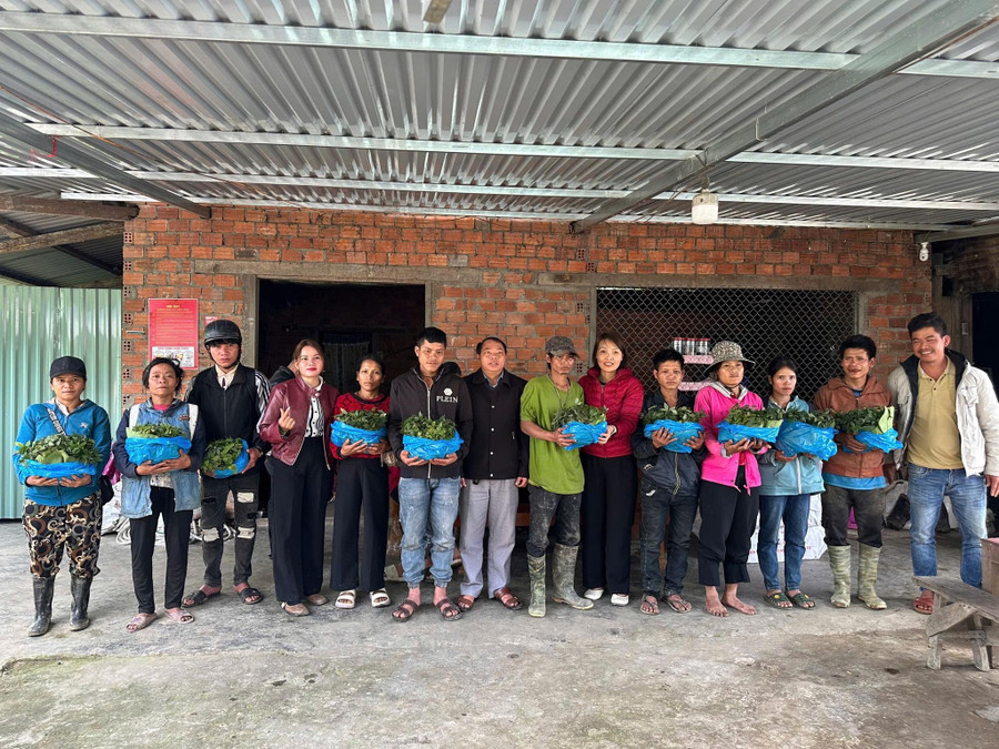 Trao sâm Ngọc Linh giống cho hộ nghèo ở miền núi Đà Nẵng.