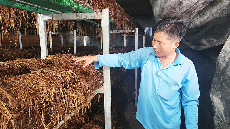 Kinh tế tuần hoàn hướng đến phát triển nông nghiệp xanh