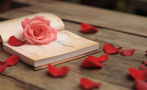 Song Tử công việc suôn sẻ, Bò Cạp nên tập thói quen tiết kiệm ngày 19/1