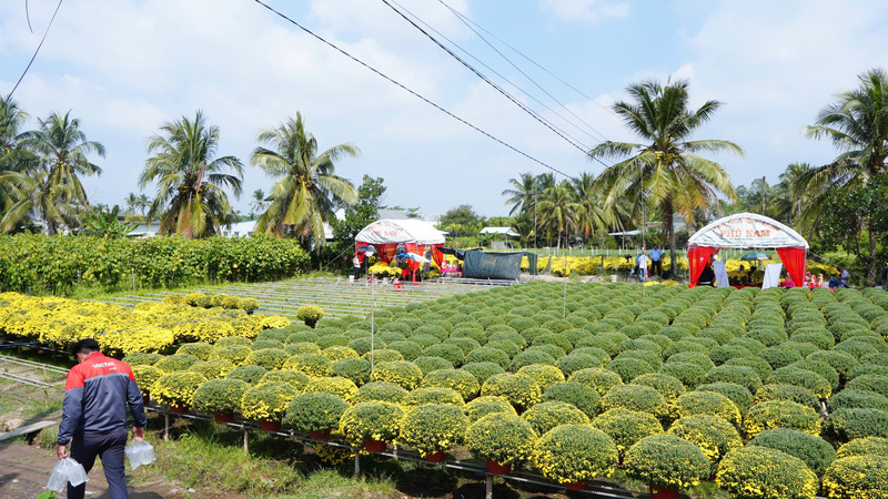 Để gỡ đầu ra, TikTok Shop đã phối hợp cùng Viettel Post, chính quyền địa phương và các nhà sáng tạo nội dung triển khai chuỗi hoạt động hỗ trợ livestream tiêu thụ hoa Tết cùng bà con.X