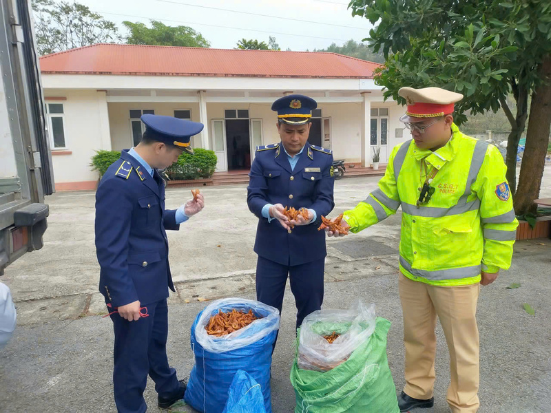 Ban Chỉ đạo 389 tỉnh xác định rõ nhiệm vụ trọng tâm là tăng cường kiểm tra, xử lý nghiêm các hành vi vi phạm. Ảnh: langson.dms