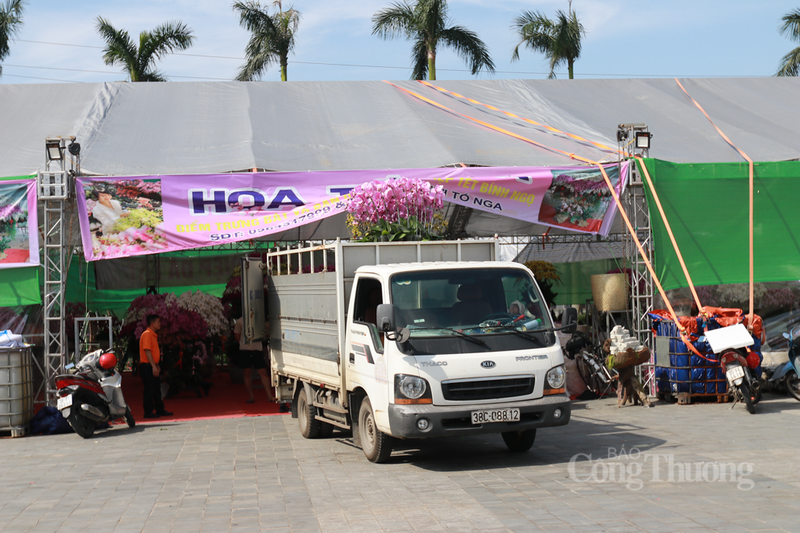 Ngắm những ‘siêu phẩm’ lan hồ điệp ôm gỗ lũa tại Hà Tĩnh - 13