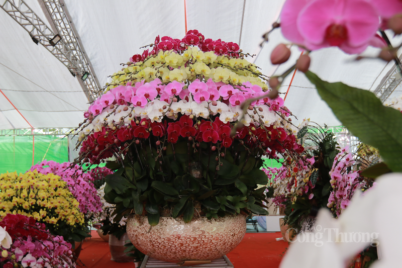 Hiện tại, các cửa hàng đang phải tất bật làm việc xuyên đêm để chuẩn bị hoa cho khách.