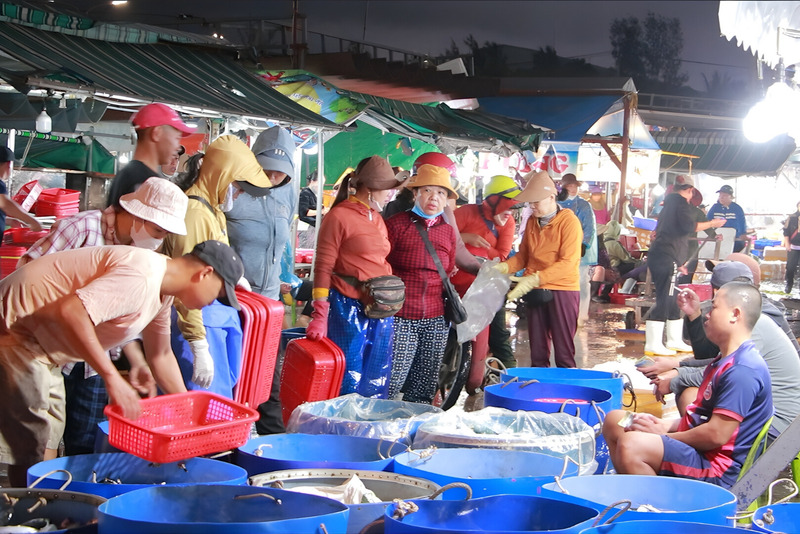 Chợ cá Thọ Quang nhộn nhịp khi các chuyến tàu của ngư dân miền Trung cập cảng. Ảnh: Bình An