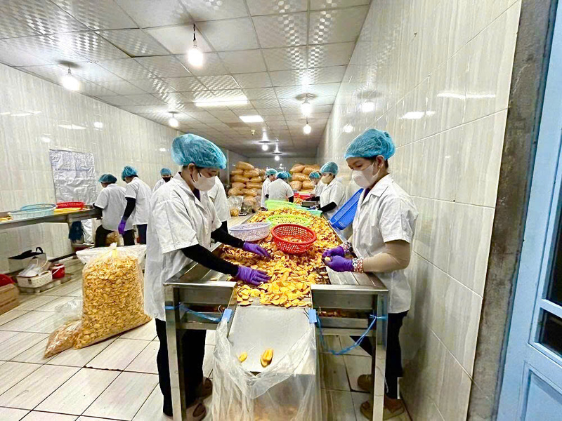 Không khí làm việc khẩn trương tại dây chuyền sản xuất của Công ty Nam Huy Đồng Tháp nhằm hiện thực hóa mục tiêu tăng trưởng 10% trong năm 2026.