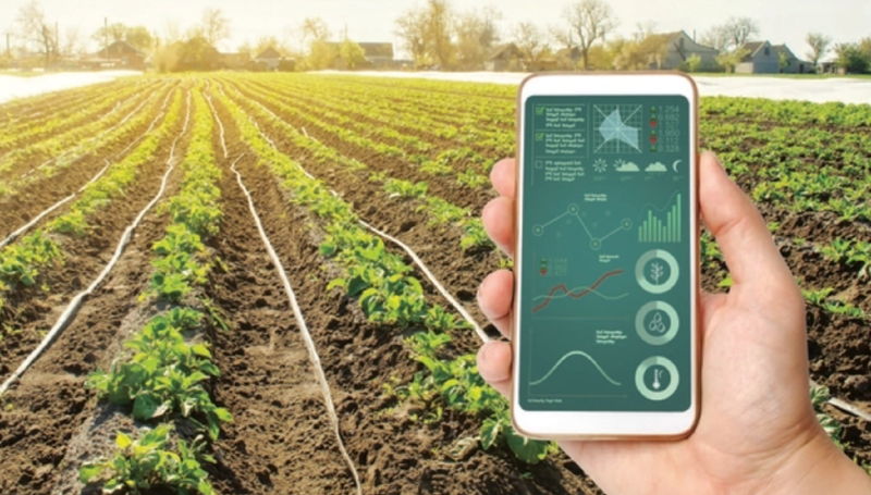 Nhiều doanh nghiệp nhỏ và vừa gặp khó trong việc đáp ứng yêu cầu truy xuất nguồn gốc. Ảnh minh hoạ