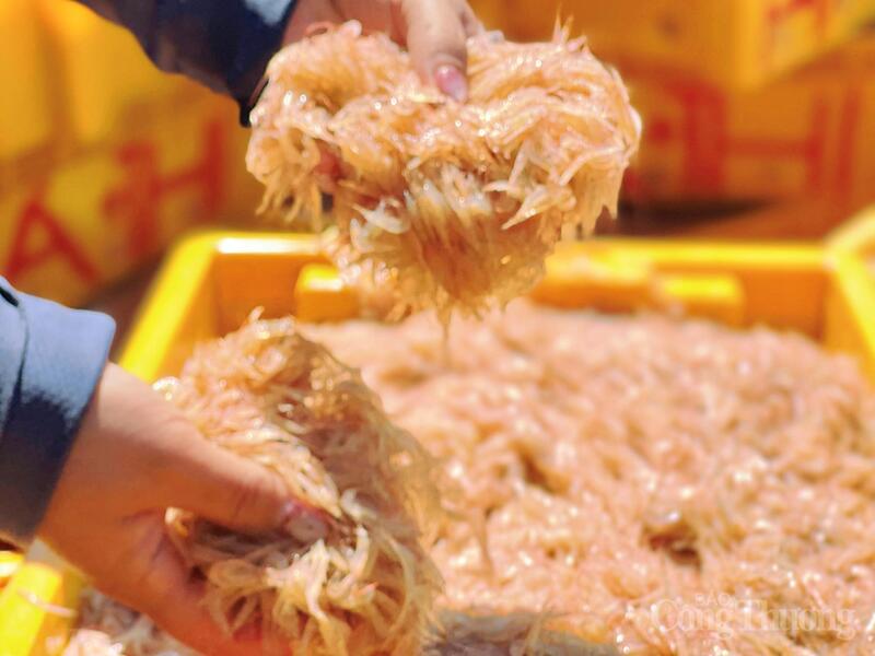 Từng thúng ruốc tươi được chuyển nhanh lên bờ. Ảnh: Hoàng Lợi