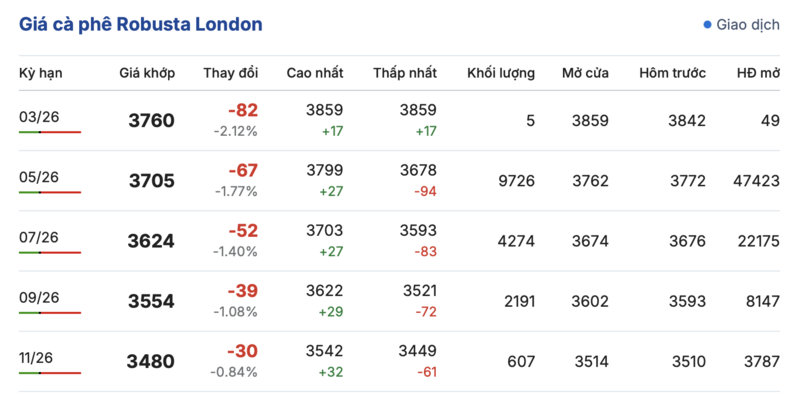 Giá cà phê hôm nay 4/3/2026: Phục hồi nhẹ - 2