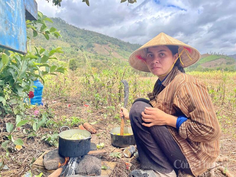 Người dân nấu ăn tại rẫy khi mùa mì tới.