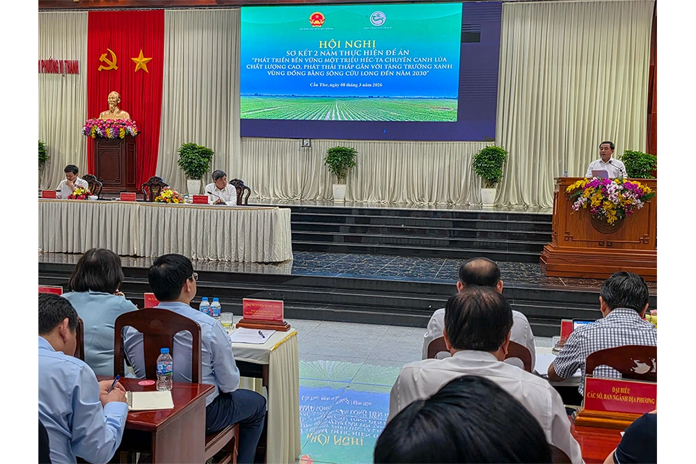 Đề án 1 triệu héc-ta lúa mang lại nhiều kết quả tích cực sau hai năm triển khai