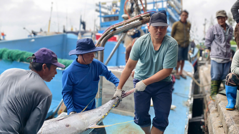 Với gần 3 tấn cá, bán ra được khoảng 150 triệu đồng. Sau khi trừ chi phí nhiên liệu, đá lạnh, thực phẩm và các khoản khác hơn 60 triệu đồng, chuyến biển này còn lại khoảng 90 triệu đồng. Ảnh: Nguyễn Dương
