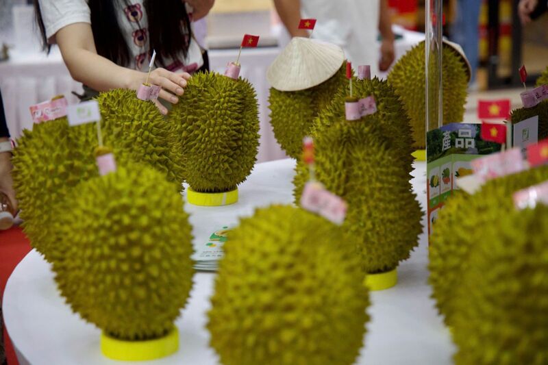 Chuyển đổi xanh kkhông chỉ là câu chuyện của môi trường, mà còn là câu chuyện của năng lực cạnh tranh, thương hiệu và tương lai phát triển bền vững của doanh nghiệp Việt. Ảnh: CT