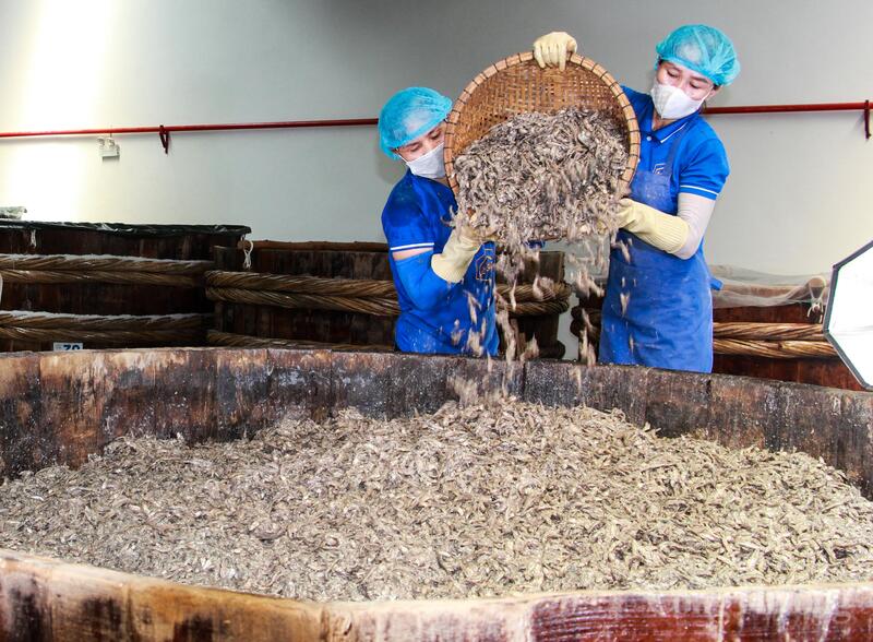 Quy trình làm mắm của Lê Gia đều lấy nguyên liệu tự nhiên, truyền thống, không chất bảo quản, không hương liệu, không tạo màu. Ảnh: Ngô Nhung