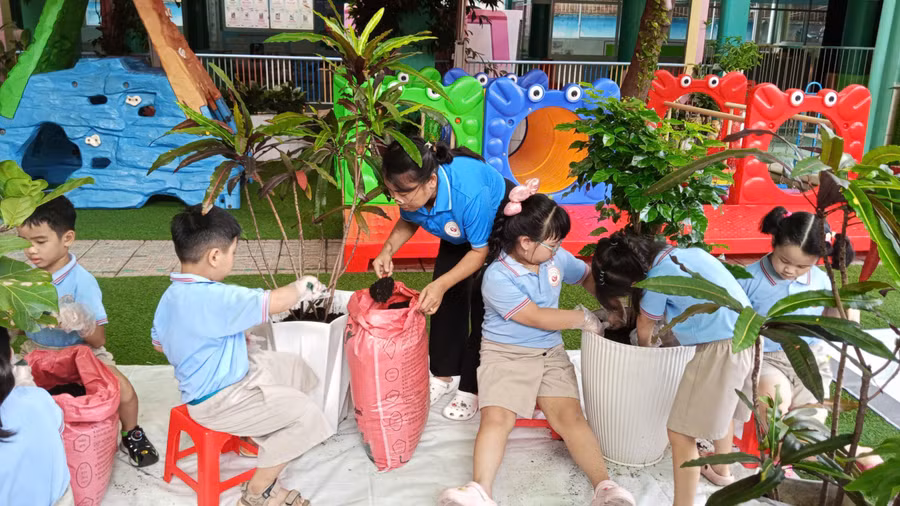 Bà Nguyễn Ngọc Giàu - Hiệu trưởng Trường Mầm non Hoa Hồng tham gia trồng cây cùng trẻ.