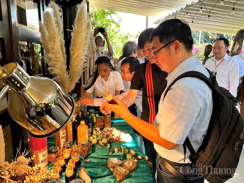 Các sản phẩm chế biến từ quế Trà My