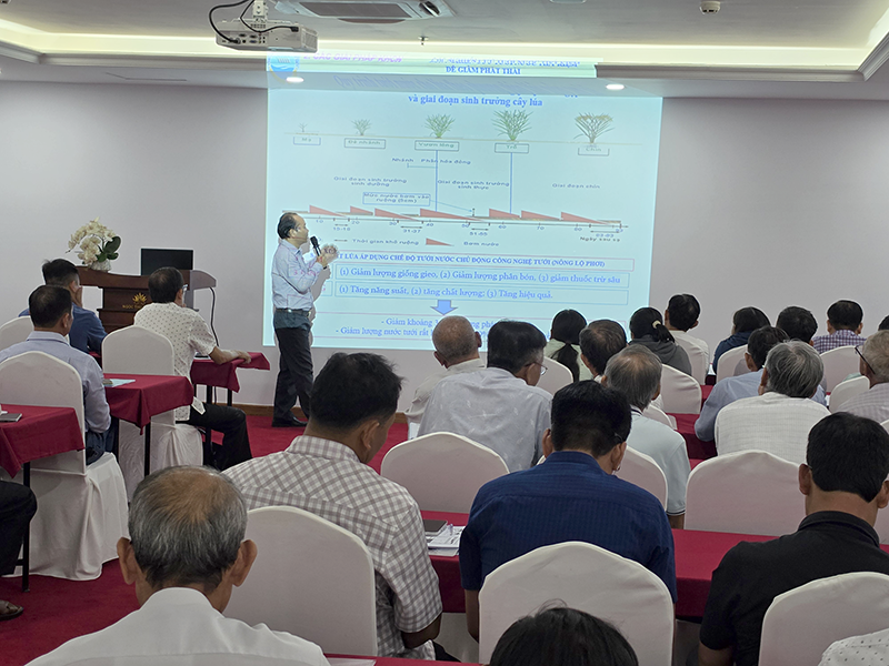 Chuyển giao công nghệ, kiến thức thực hành sản xuất lúa chất lượng cao, hiệu quả bền vững và phòng tránh hạn mặn