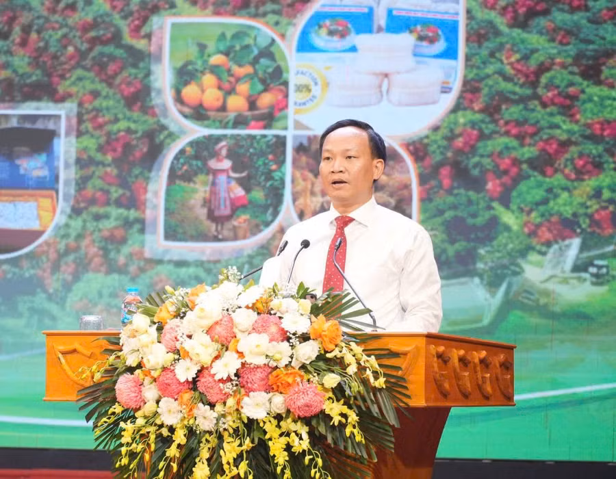 Ông Phạm Văn Thịnh, Phó Chủ tịch UBND tỉnh phát biểu. a47994d1d3e452ba0bf5.jpg