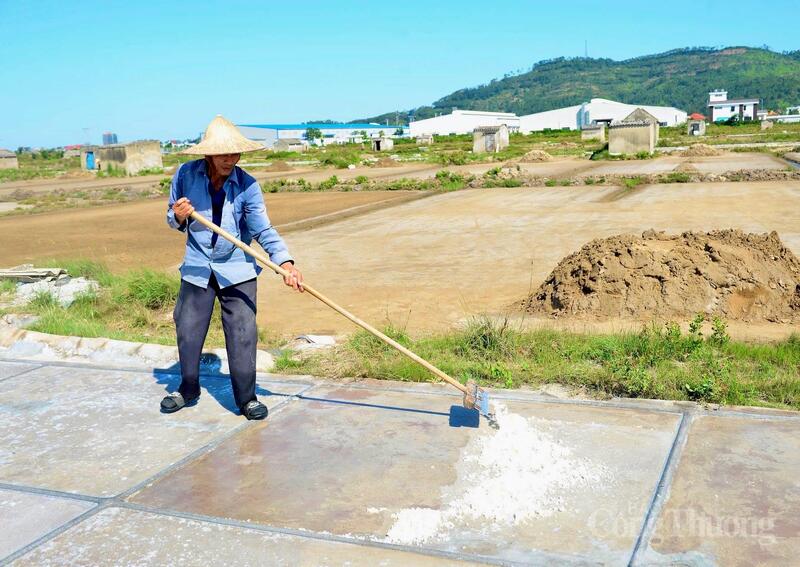 “Không chỉ cực nhọc, nghề muối còn đối diện với nỗi lo đầu ra bấp bênh. Giá cả nhiều năm nay không ổn định, có thời điểm xuống thấp khiến thu nhập của diêm dân chẳng đáng là bao. Trung bình một ngày lao động vất vả dưới nắng nóng, mỗi người chỉ kiếm được vài trăm nghìn đồng nếu thời tiết thuận lợi”, ông Thuần cho hay. Ảnh: Quốc Anh