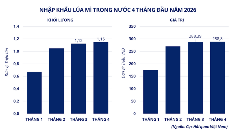 Nhập khẩu lúa mì trong nước 4 tháng đầu năm 2026. Nguồn: MXV