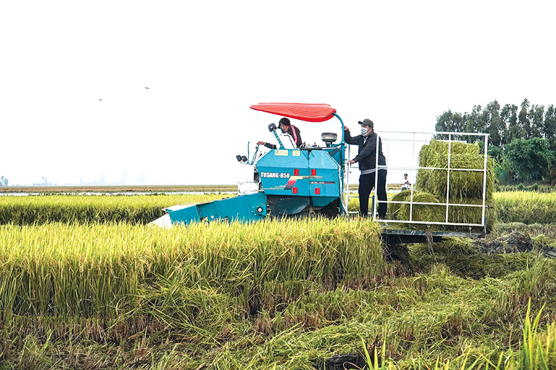 Cơ giới hóa nông nghiệp: Chìa khóa của tăng trưởng xanh