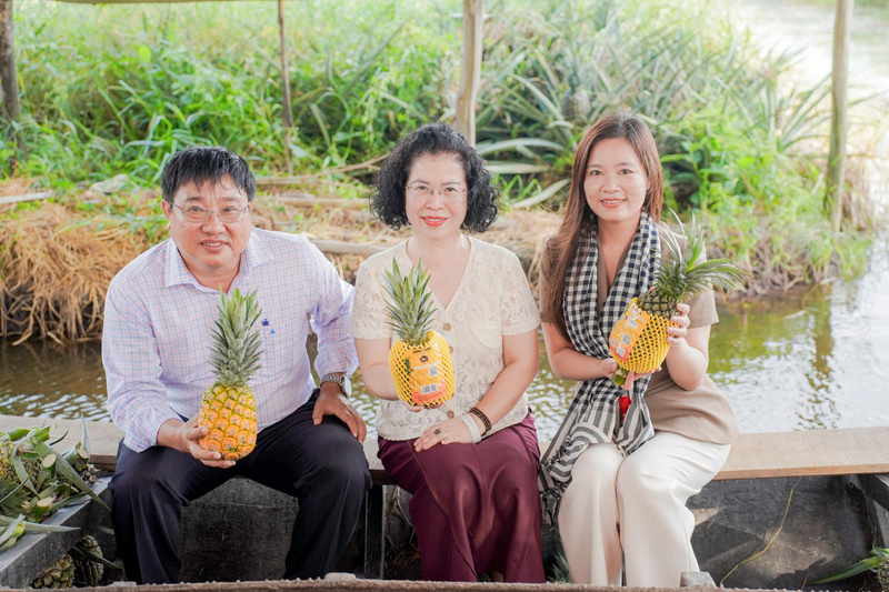 Bà Nguyễn Thị Minh Huyền (ở giữa) - Phó Cục trưởng Cục Thương mại điện tử và Kinh tế số, Bộ Công Thương, bà Trần Thị Tân (bên phải) - Giám đốc Trách nhiệm xã hội TikTok Shop, ông Đặng Văn Tuấn, Phó Giám đốc Sở Công Thương Đồng Tháp trên sóng livestream tại vườn dứa. Ảnh: TT