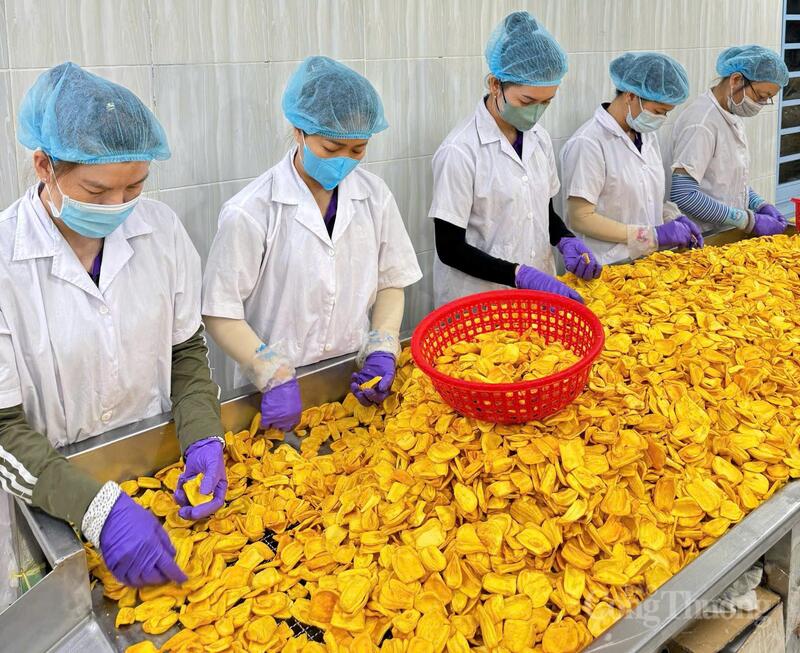 Phát triển sản phẩm chế biến sâu là một trong những định hướng của Đồng Tháp nhằm nâng chất các sản phẩm OCOP, mở rộng thị trường tiêu thụ.