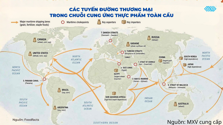 Các tuyến đường thương mại trong chuỗi cung ứng thực phẩm toàn cầu