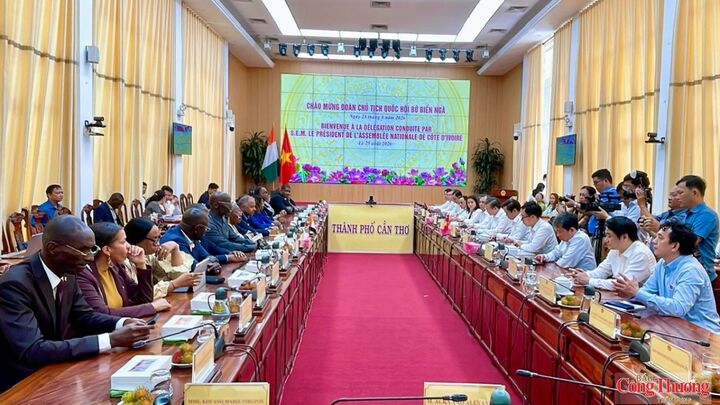 Quang cảnh tại buổi làm việc.