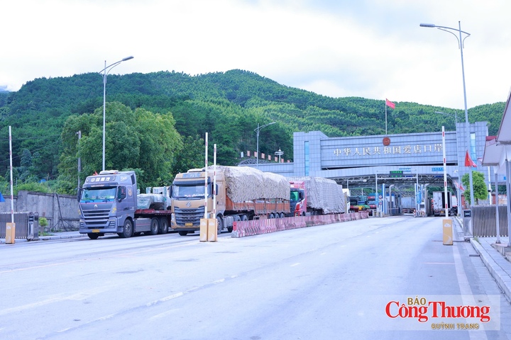 Phát triển logistics hiện đại, hiệu quả sẽ góp phần nâng cao năng lực cạnh tranh của hàng hóa Việt Nam khi quy mô xuất nhập khẩu ngày càng mở rộng