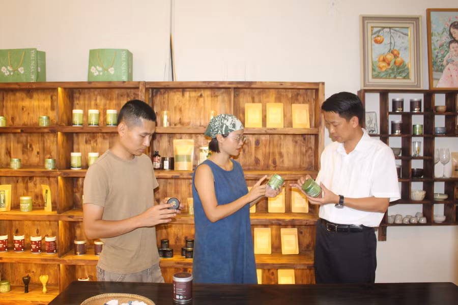 Hiện nay HTX Lạc Yên Trà đang chú trọng phát triển các sản phẩm chế biến sâu về cây chè.