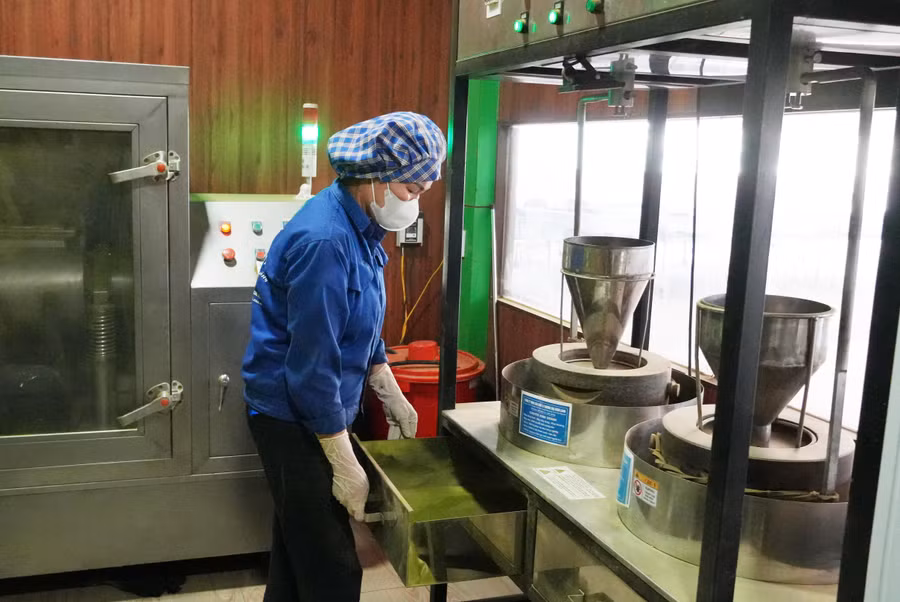 HTX chè La Bằng sản xuất sản phẩm bột Matcha. 5-1.jpg