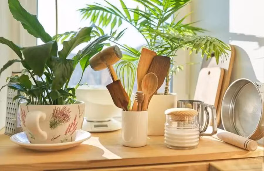 Giấy bìa công nghiệp dễ hấp thụ và giữ lại các loại khí độc hại. (Ảnh: ITN).