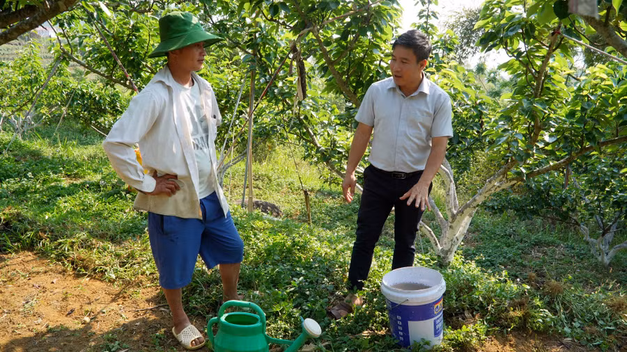 Các lớp đào tạo nghề giúp người dân nắm vững kỹ thuật chăm sóc cây trồng. ta-leng-2.jpg