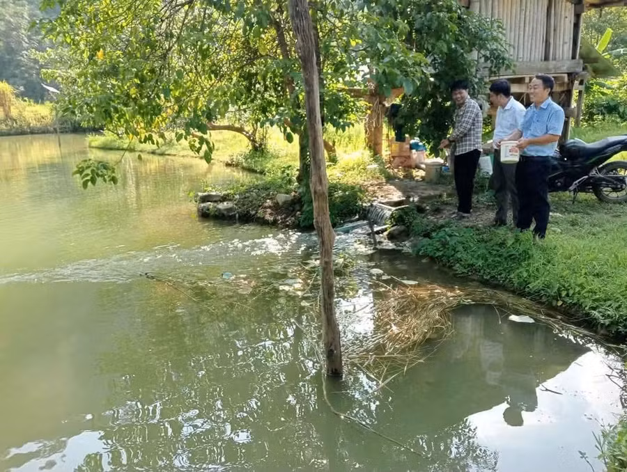 Mô hình nuôi cá của người dân địa phương. 1000054497.jpg