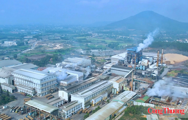 Nhà máy Đường An Khê hiện có công suất ép 18.000 tấn mía/ngày, sản xuất hơn 250.000 tấn đường/năm, chiếm trên 20% sản lượng đường sản xuất từ mía của cả nước.