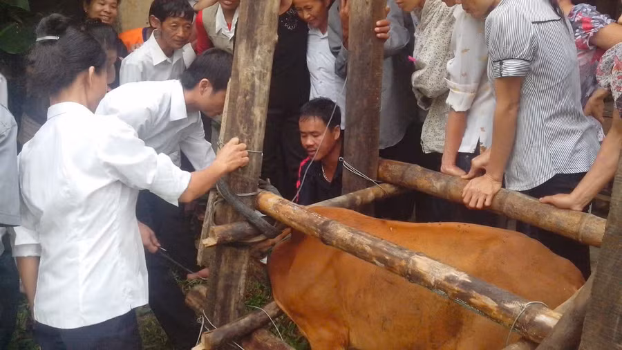 Tạo sinh kế để phát triển kinh tế giúp người dân giảm nghèo bền vững. Ảnh: Quỳnh Chi. giam-ngheo-2.jpg