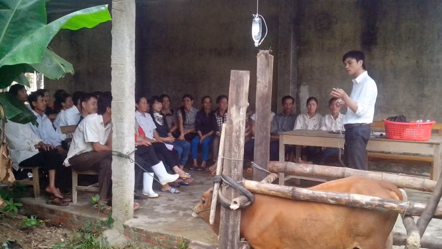 Người dân được phổ biến kỹ thuật chăn nuôi bò để cải thiện kinh tế. Ảnh: Quỳnh Chi.