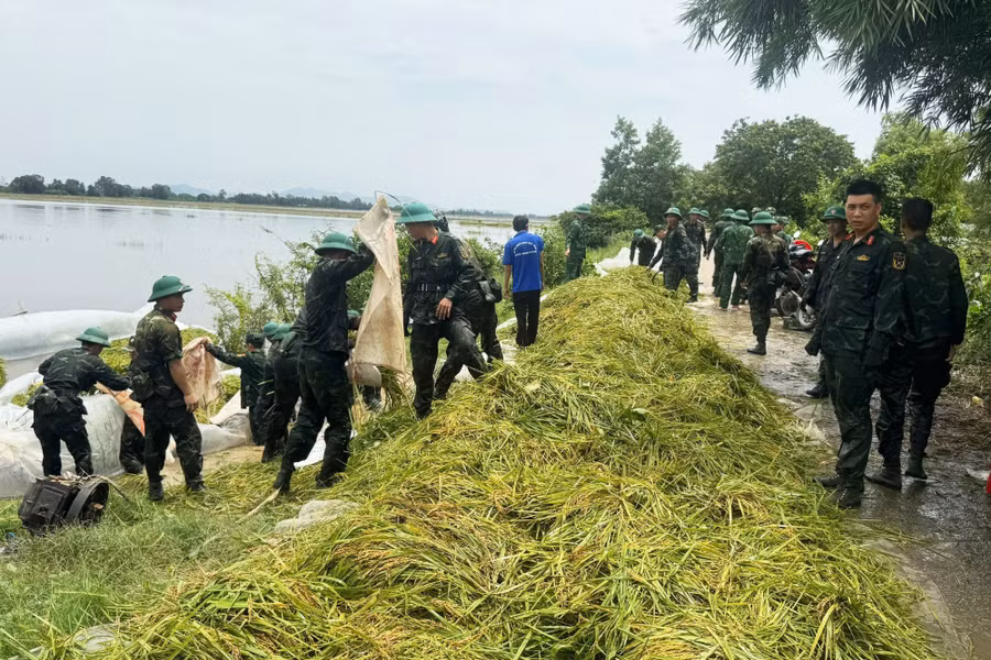 Những bó lúa sau khi thu hoạch được nhanh chóng chuyển lên bờ, đưa đến nơi an toàn. 0-lua-2026-9.jpg