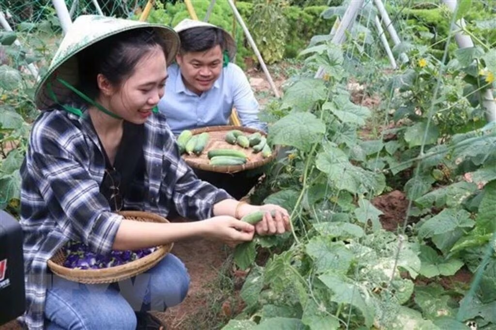 Gắn kết OCOP với du lịch nông thôn, gia tăng giá trị nông sản Việt