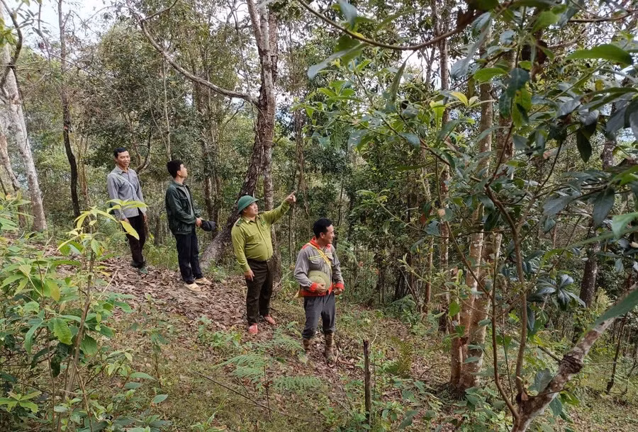 Cán bộ Hạt Kiểm lâm Tủa Chùa phối hợp với người dân tuần tra bảo vệ rừng.