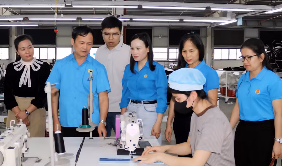 Người lao động có thu nhập ổn định sau khi được tư vấn việc làm. 1000056310.jpg